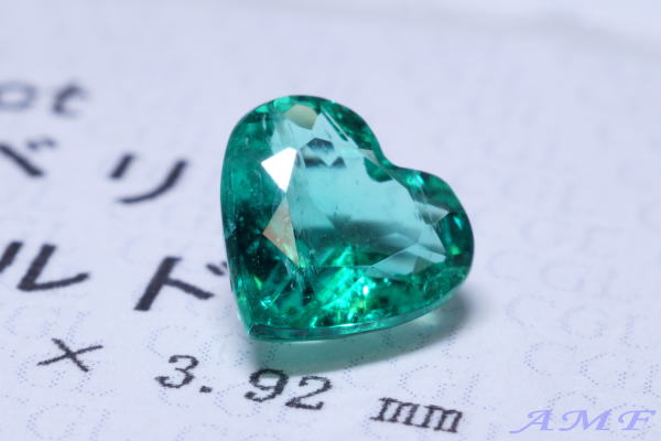 �R�����r�A�Y�n�[�g�V�F�C�v�G�������h�O.�X�U����119