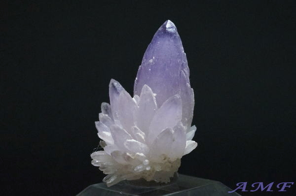 栃木県富井鉱山産紫水晶の綺麗な標本26