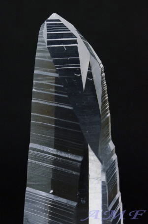 YȃRrAYA46