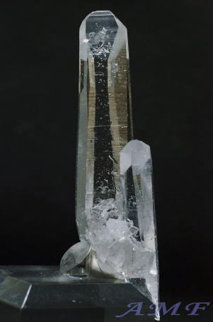 YȃRrAYA63