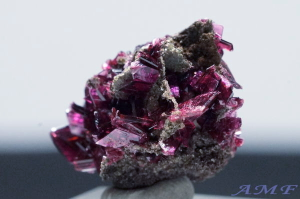 bRYGXCgYȕW{13