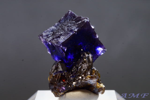 テネシー州エルムウッド鉱山産パープルフローライトの綺麗な標本131