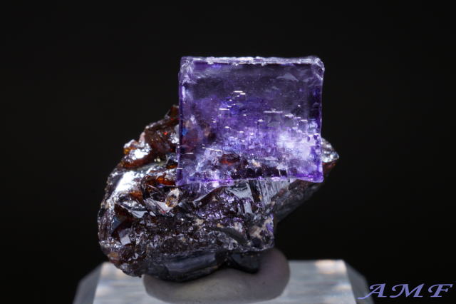 テネシー州エルムウッド鉱山産フローライトの綺麗な標本271