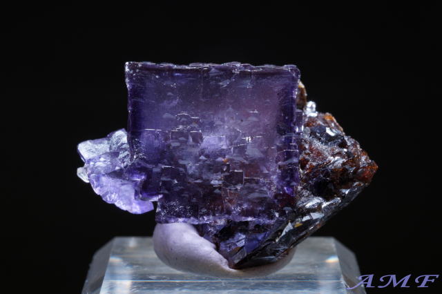 AJEelV[BGEbhzRYp[vt[CgYȕW{291