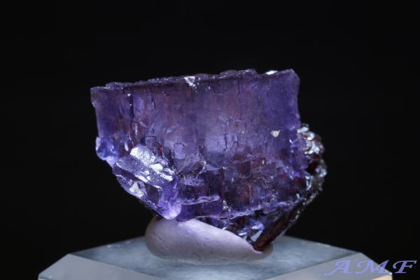 AJEelV[BYp[vt[CgYȕW{292