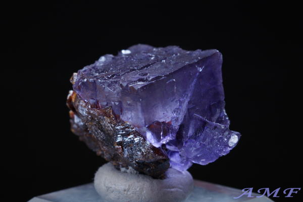 AJEelV[BYp[vt[CgYȕW{294