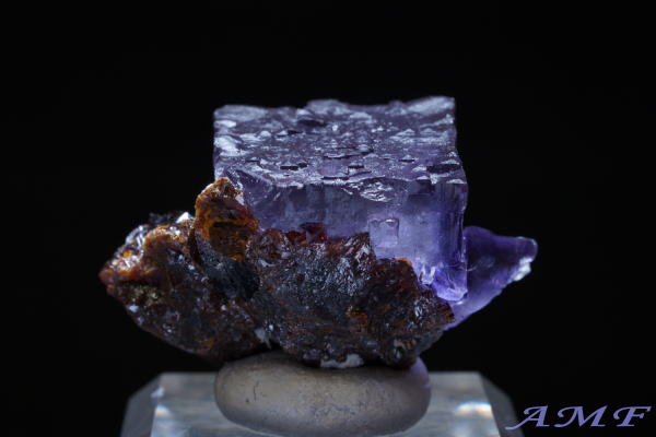 AJEelV[BYp[vt[CgYȕW{295