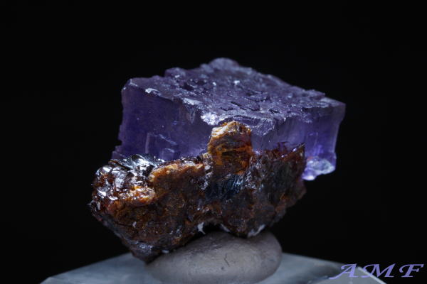 AJEelV[BYp[vt[CgYȕW{296