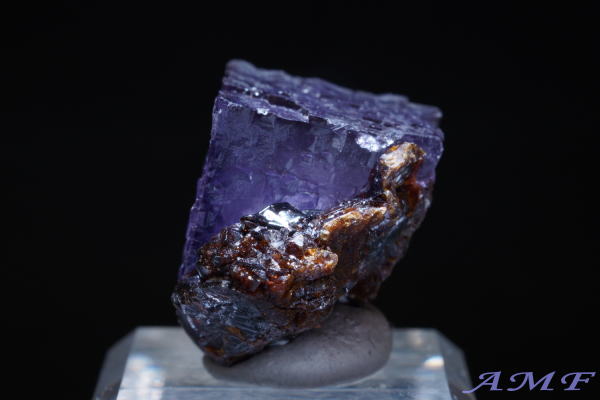 AJEelV[BYp[vt[CgYȕW{297