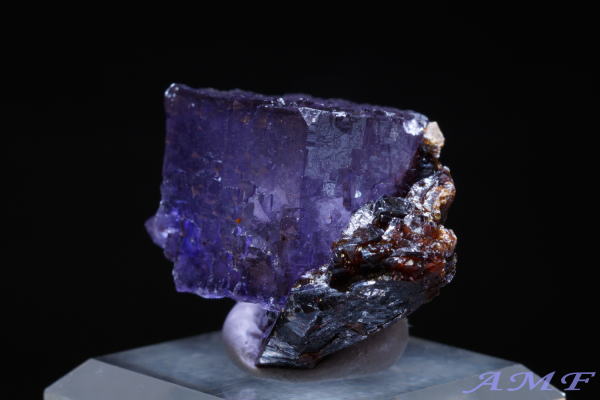 AJEelV[BYp[vt[CgYȕW{298