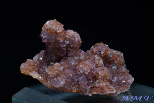 �C�^���A�E�����o���f�B�A�B�Y�t���[���C�g���Y��ȕW�{12