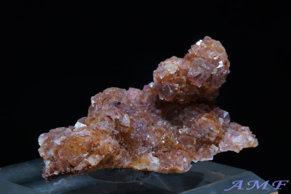 �C�^���A�E�����o���f�B�A�B�Y�t���[���C�g���Y��ȕW�{12