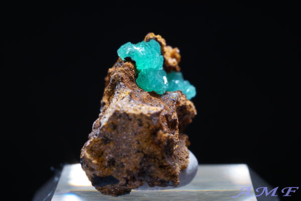 �M���V���Y�L���v���A���A�_�}�C�g���Y��ȕW�{13