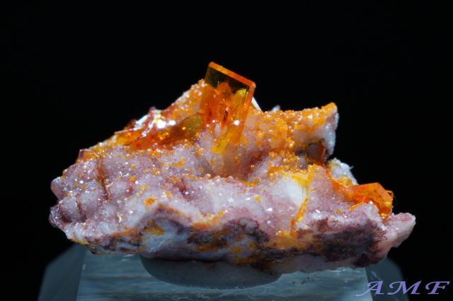 �A�����J�E�A���]�i�B���[���[�z�R�Y�E���t�F�i�C�g���Y��ȕW�{121"