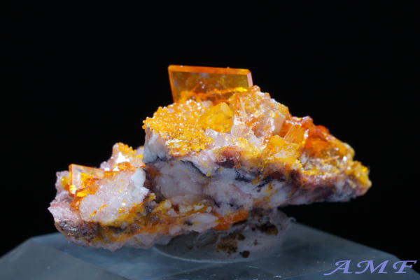 �A���]�i�B���[���[�z�R�Y�E���t�F�i�C�g���Y��ȕW�{56