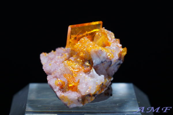 �A���]�i�B���[���[�z�R�Y�E���t�F�i�C�g���Y��ȕW�{57