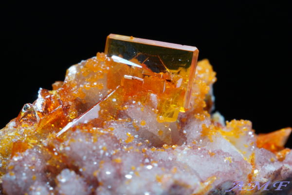 �A���]�i�B���[���[�z�R�Y�E���t�F�i�C�g���Y��ȕW�{59