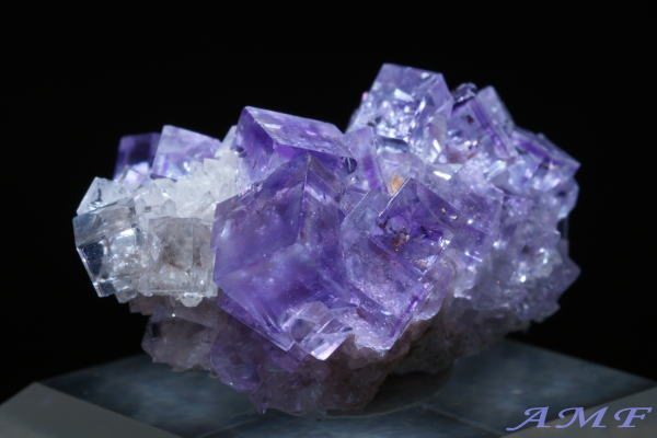 �X�y�C���E�A�X�g�D���A�X�B�Y�p�[�v���t���[���C�g���Y��ȕW�{82