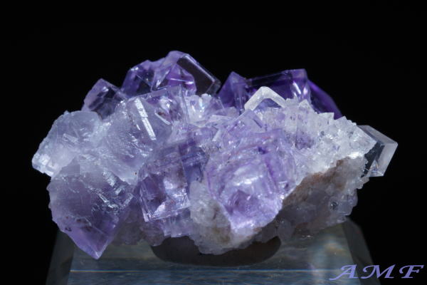 �X�y�C���E�A�X�g�D���A�X�B�Y�p�[�v���t���[���C�g���Y��ȕW�{85