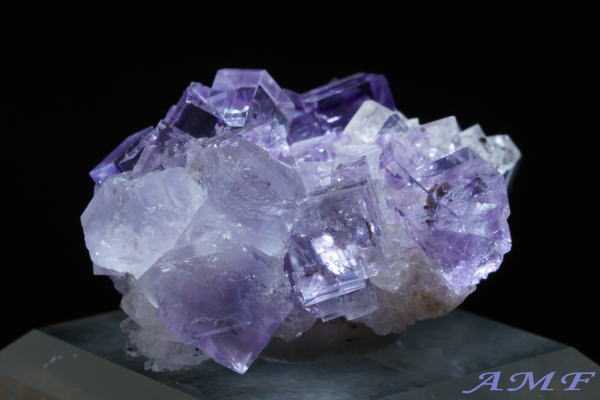 �X�y�C���E�A�X�g�D���A�X�B�Y�p�[�v���t���[���C�g���Y��ȕW�{86