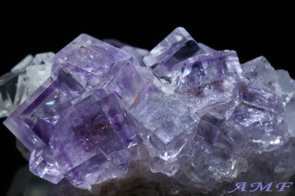 �X�y�C���E�A�X�g�D���A�X�B�Y�p�[�v���t���[���C�g���Y��ȕW�{810