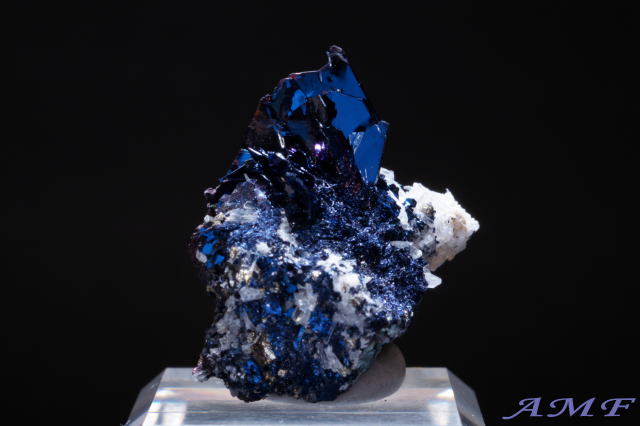 �A�����J�E�����^�i�B�Y�R�x���C�g���Y��ȕW�{11"