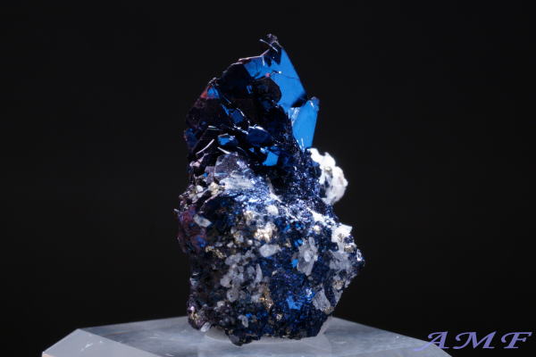 �A�����J�E�����^�i�B�Y�R�x���C�g(����)���Y��ȕW�{12