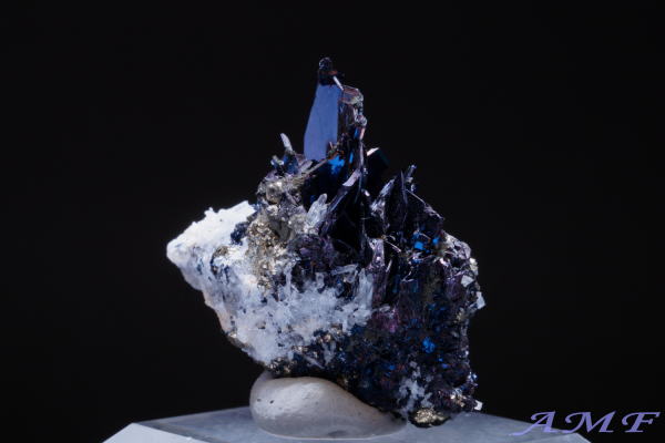 �A�����J�E�����^�i�B�Y�R�x���C�g(����)���Y��ȕW�{14