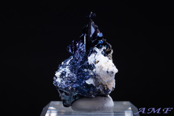 �A�����J�E�����^�i�B�Y�R�x���C�g(����)���Y��ȕW�{17