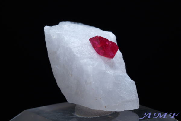 �~�����}�[�E���S�b�N�Y�s���N�X�s�l�����Y��ȕW�{52