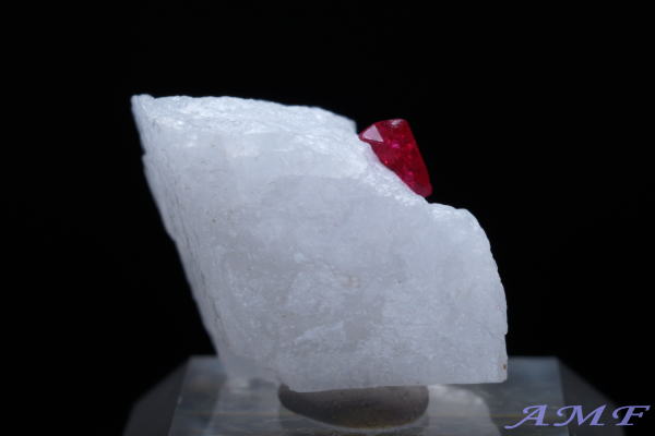 �~�����}�[�E���S�b�N�Y�s���N�X�s�l�����Y��ȕW�{53