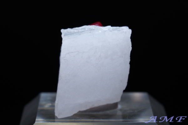 �~�����}�[�E���S�b�N�Y�s���N�X�s�l�����Y��ȕW�{55