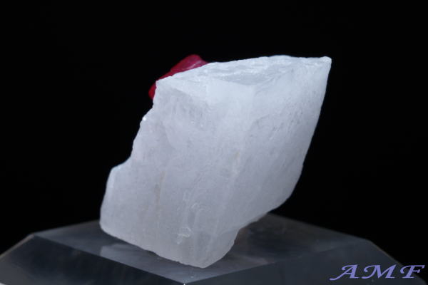 �~�����}�[�E���S�b�N�Y�s���N�X�s�l�����Y��ȕW�{56