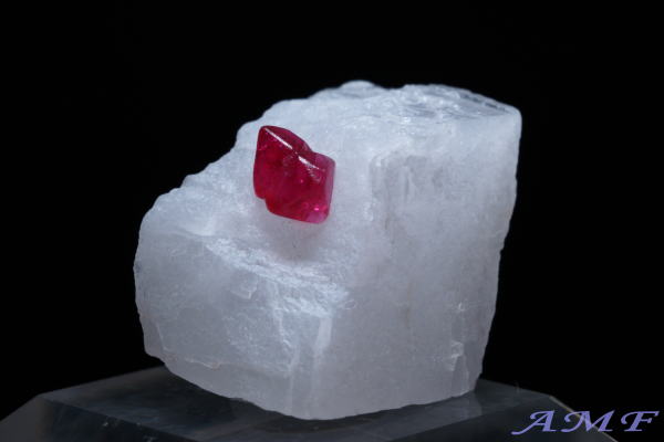 �~�����}�[�E���S�b�N�Y�s���N�X�s�l�����Y��ȕW�{58