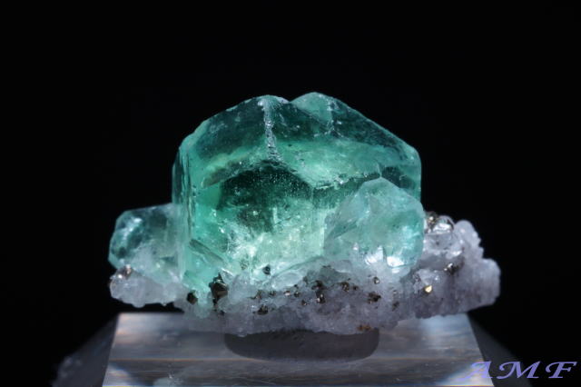 �y���[�Y�O���[���t���[���C�g���Y��ȕW�{51"