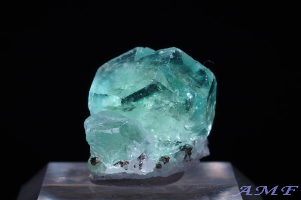 �y���[�Y�O���[���t���[���C�g���Y��ȕW�{33