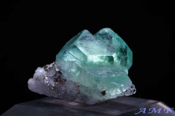 �y���[�Y�O���[���t���[���C�g���Y��ȕW�{34