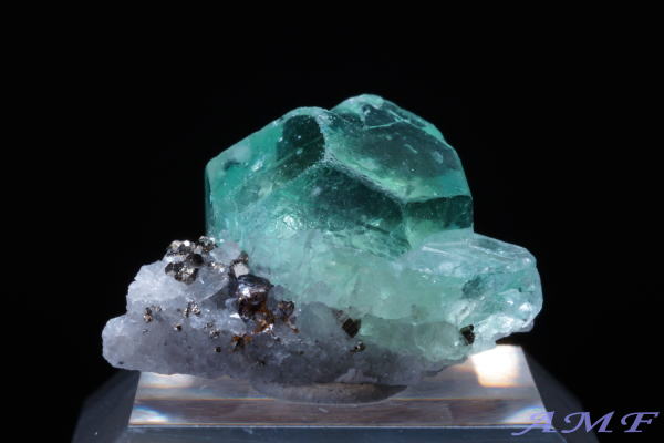 �y���[�Y�O���[���t���[���C�g���Y��ȕW�{35