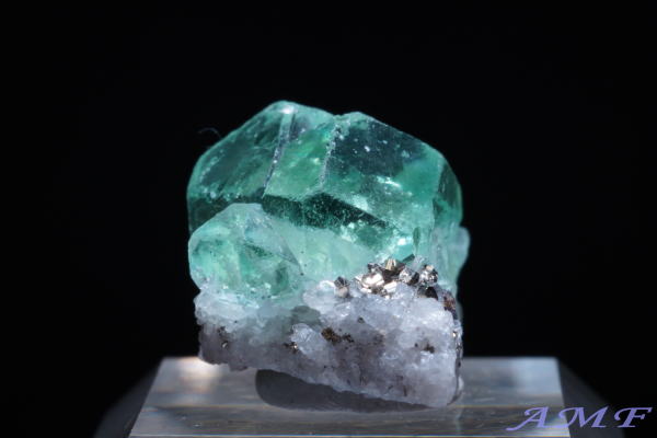 �y���[�Y�O���[���t���[���C�g���Y��ȕW�{37