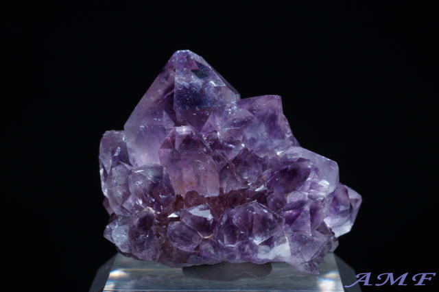 ��A�t���J�Y�A���V�X�g���Y��ȕW�{51"