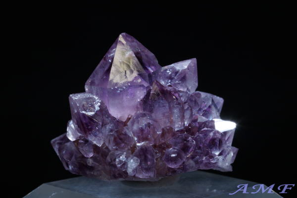 ��A�t���J�Y�A���V�X�g���Y��ȕW�{52