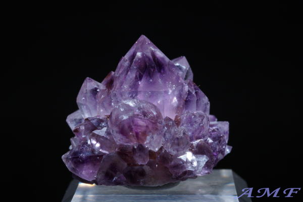 ��A�t���J�Y�A���V�X�g���Y��ȕW�{53