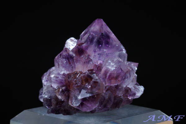 ��A�t���J�Y�A���V�X�g���Y��ȕW�{54