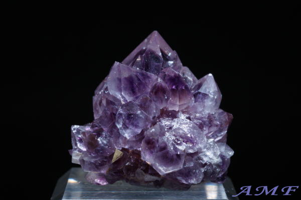 ��A�t���J�Y�A���V�X�g���Y��ȕW�{57