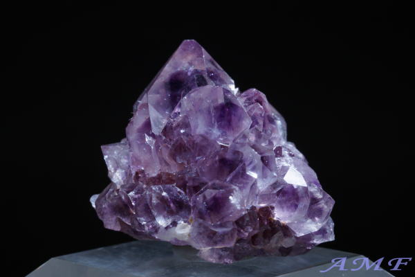 ��A�t���J�Y�A���V�X�g���Y��ȕW�{58