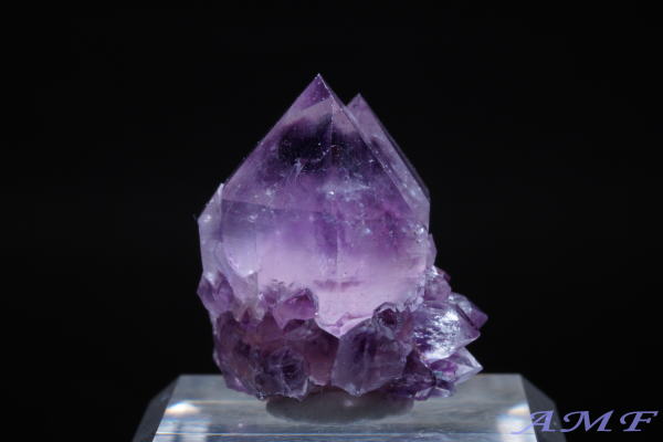 ��A�t���J�Y�A���V�X�g���Y��ȕW�{63