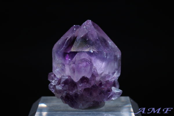 ��A�t���J�Y�A���V�X�g���Y��ȕW�{65