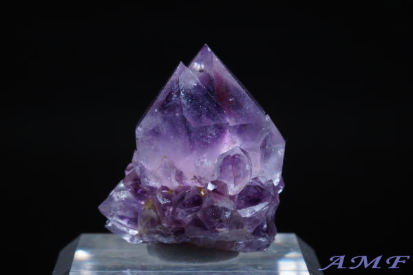 ��A�t���J�Y�A���V�X�g���Y��ȕW�{67