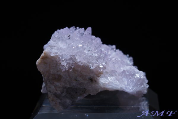 �A�����J�E�l�o�_�B�Y�p�[�v���N���[�_�C�g���Y��ȕW�{13