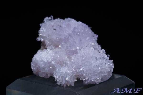 �A�����J�E�l�o�_�B�Y�p�[�v���N���[�_�C�g���Y��ȕW�{18